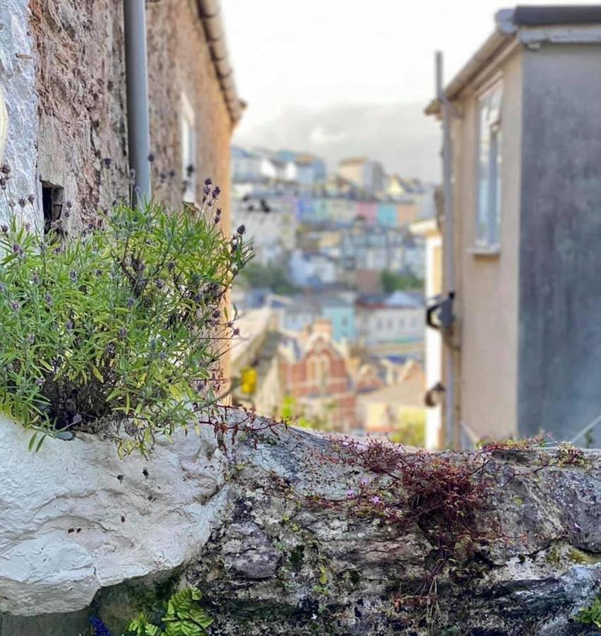 Saltys Cottage, Brixham - 2 Min Walk To The Harbour Esterno foto